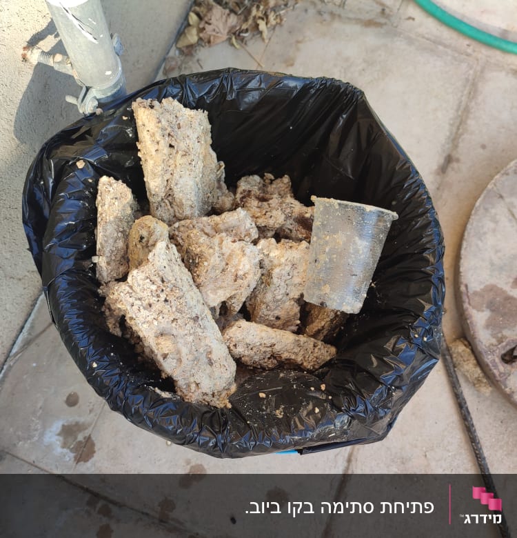 הלכלוך ( שאריות מזון ושומן ) שיצרו את הסתימה